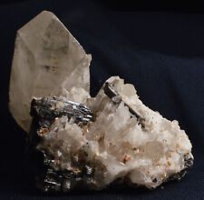 #6480 Hubnerite & Quartz - Peru [Large piece 3 3/8” - 242.7 grams] picture