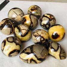 2888g 11PCS Natural Septarian Dragon Stone Quartz Crystal Sphere Mineral Healing picture