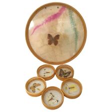 Vintage REAL Butterfly Bamboo Tray & Coaster Set Glass Bohemian Cottage MCM 70s  picture
