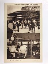 vintage 1939 the borden company milking cows electrically N Y Fair post card picture