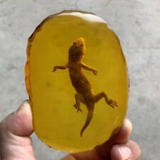 Beautiful Amber Fossil Insects Manual Polishing Gecko Amber Ornaments picture