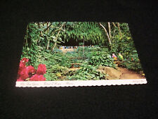 Vintage Postcard- The Fern Grotto, Island of Kauai, Hawaii- 4x6 inch card picture