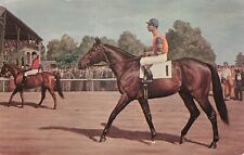 Artist Card Richard Stone Reeves Thoroughbred Race Horse Nashua  Postcard c 1960 picture