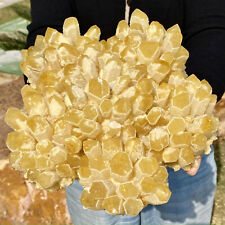 6.94LB Natural best yellow crystal ore cluster flower healing specimen picture