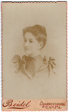 1870s CABINET CARD WEALTHY YOUNG WOMEN BEIDEL CHAMBERSBURG PENSYLVANIA picture