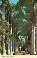 Colonnade Royal Palms Daytona Beach Florida FL pm 1968 Postcard picture