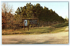 c1950's Asbury Acres United Methodist Camps North of Almond WI Postcard picture