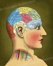 Unusual 1914 Vintage Style Phrenology Head Chart Print - 20x24 picture