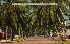 Navy Yard Key West Florida Palm Tree Lined Drive 1940 TICHNOR Linen Postcard picture