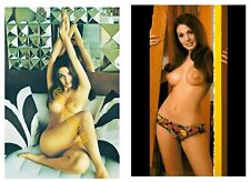 Linda Forsythe Playboy Playmate Beautiful Glossy 2 Photos Print 4x6 inc picture