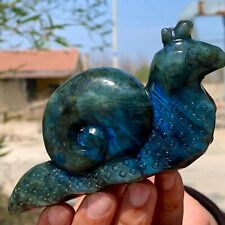 304G Natural beautiful labradorite crystal hand- carved snail healing picture
