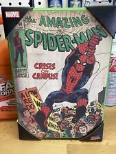 The Amazing Spider-Man Wall Decor ,Wooden Wall Decor, Comic Book, Spiderman picture