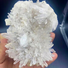 1.55LB A+++Natural white Crystal Himalayan quartz cluster /mineralsls picture