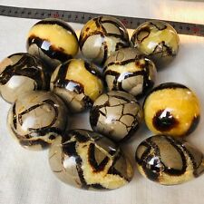 2888g 11PCS Natural Septarian Dragon Stone Quartz Crystal Sphere Mineral Healing picture