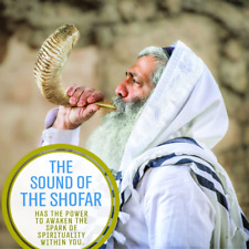 Kosher Ram Shofar From Israel 12