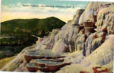 Vintage Postcard- Pulpit Terrace, Yellowstone National Park. picture