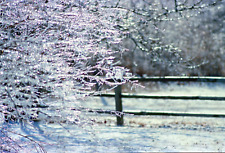 Four Original 35 mm Color Negatives Ice Storm in Columbus Ohio 1989 C picture