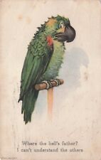 Artist card Green Parrot on Perch “Where the Hell’s Father?” Comic Postcard 1923 picture