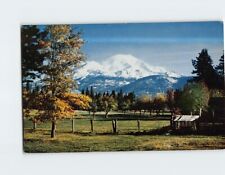 Postcard Mount Shasta California USA picture