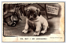 c1909 Postcard Oh But I Am Lonesome Dog Artist Signed V. Colby picture