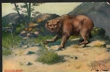 Antique Old Postcard Grizzly Bear  TROILENE Western Artist John Innes Signed picture