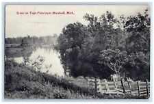 1917 Scene Togo Point Near Marshall River Lake Trees Michigan Antique Postcard picture