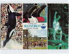 Postcard Greetings from Sea World, Orlando, Florida picture
