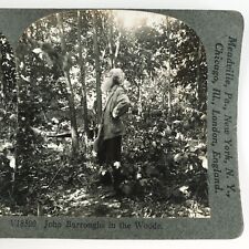 John Burroughs Nature Writer Stereoview 1920s Keystone Naturalist Essayist H1723 picture