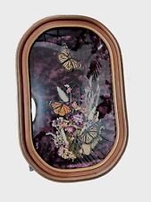 Real Taxidermy Display Of Monarch Butterflies in Convex Glass Frame 