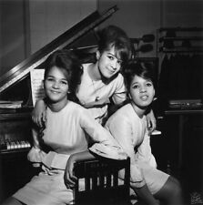 The Ronnettes RONNIE SPECTOR  5X7 Glossy Photo picture