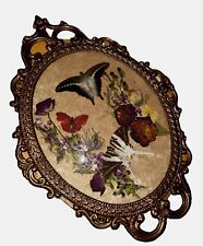 Real Taxidermy W/ Butterflies Ornate Convex Glass Frame Cottagecore Blue Morpro picture