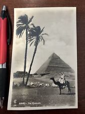 Vintage B&W Photo Cairo, The Pyramids Camel And Rider Postcard  picture