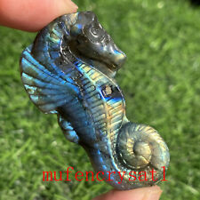 Natural Labradorite Hand Carved The sea horse Quartz Crystal Healing 1pc picture