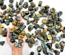 Tumbled Sea Jasper Crystals Bulk Orbicular Jasper Stones Polished Gems Tumbles picture
