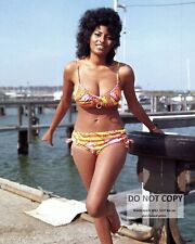 ACTRESS PAM GRIER PIN UP - 8X10 PUBLICITY PHOTO (RT712) picture