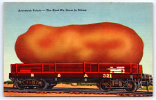 Postcard Exaggerated Aroostook Potato-The Kind We Grow in Maine Rail Car A17 picture