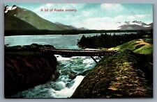 Postcard Foot Bridge Creek Waterfall Scenery Alaska c1910 Unposed picture