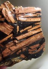 Eagle Rock Plume Agate - Gorgeous Old Stock - ROUGH - from Oregon. (155 grams) picture