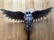 Metal Owl Wings Spread Open Yard Cottage Bird 24 in. W. Garden Decoration Hooter picture