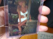 1997 Bench Warmer Vintage Pamela Anderson card Chromium #3 Rare 🔥 picture