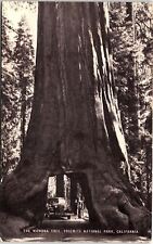 c1910 YOSEMITE NATIONAL PARK CALIFORNIA THE WAWONA TREE POSTCARD 42-23 picture