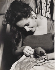 HOLLYWOOD BEAUTY ELIZABETH TAYLOR CANDID CUYE PET STUNNING PORTRAIT Photo C33 picture