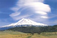 Postcard CA Mount Shasta Valley Volcanic Mountain Cattle Cloud Siskiyou County picture