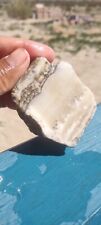 Lapidary Thick Chunky Silver Lace Onyx Slab Ready To Can Or Collect picture