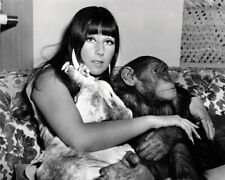 Cher poses with monkey chimpanzee & unicorn 1967 Good Times 8x10 inch photo picture