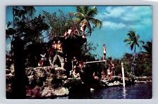 Coral Gables FL-Florida, the Venetian Pool, Antique Vintage Souvenir Postcard picture