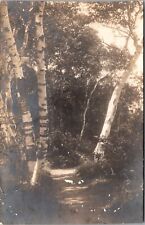 RPPC Hiking Trail Sargentville Maine ME Postcard 1917 T29 picture