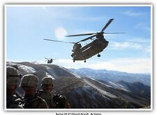 Boeing CH-47 Chinook Aircraft picture