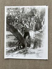 Vintage Lex Barker TARZAN Photograph : Bow And Arrow Hollywood Stud Boy 8x10 picture