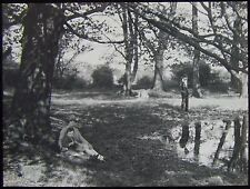 Glass Magic Lantern Slide EDWARDIAN FAMILY IN WOODS C1920 PHOTO PEOPLE picture
